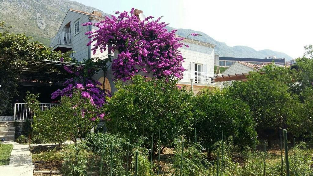 Apartments Husanovic Mokošica Exteriér fotografie
